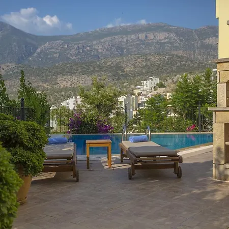 Lemon Tree *