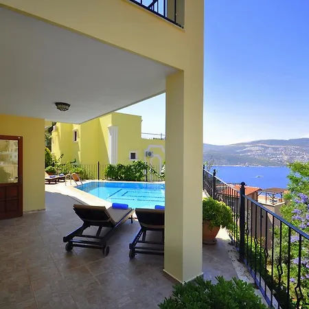 Lemon Tree *