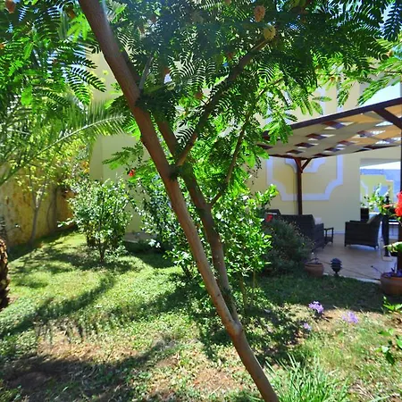 Villa Lemon Tree